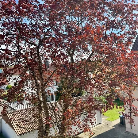 Seehas Am Bodensee Apartment *