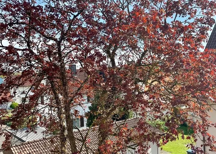 Seehas Am Bodensee Apartment *